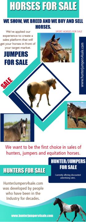Warmbloods For Sale Dressage Horses