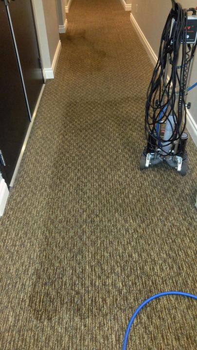 professional Vancouver carpet cleaning services 