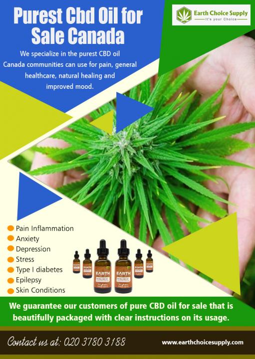 Purest CBD Oil for Sale Canada