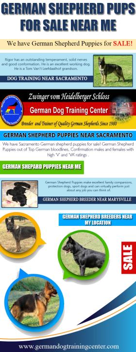 German Shepherd Pups For Sale Near ME
